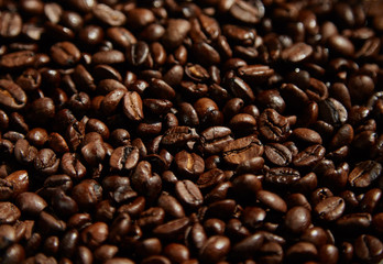 Coffee beans close-up