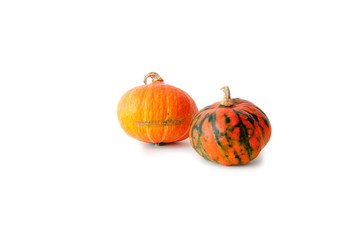 Two pumpkins on a white background