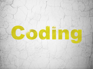 Software concept: Coding on wall background