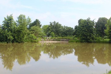 Fototapeta na wymiar The trees reflecting on the lake in the park.