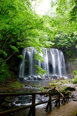 Obraz premium 夏の達沢不動滝（猪苗代町）