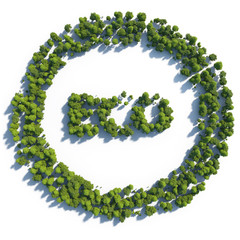 3d rendering ultra high quality. Eco icon from small trees with drop shadow on white background. Modern minimalistic icon in green colors. View from above