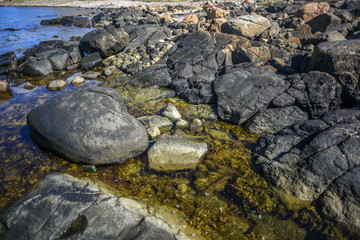 Fototapeta na wymiar Large stones off the Swedish coast in Varberg.