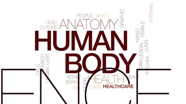 Human body animated word cloud, text design animation. Kinetic typography.