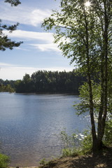 Forest lake, Belarus