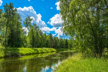 Zelfklevend Fotobehang Summer landscape with a small river. © Valery Smirnov