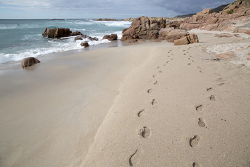Fototapeta na wymiar Footprints on Forcados Point Beach; Costa de la Muerte; Galicia