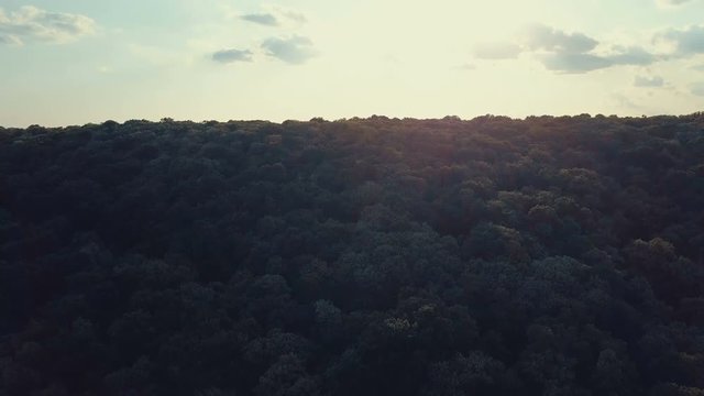 Aerial footage of a forest in sunset