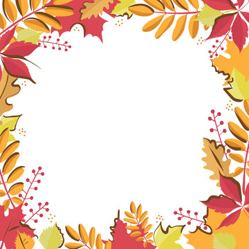 Square template with place for text. Bright autumn leaves on white background. Fall festival, sale banners