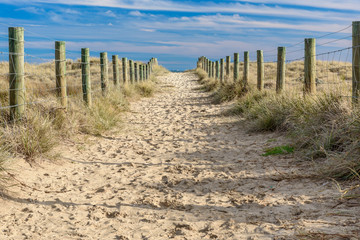A sandy path between grassy dunes leads to the sea at Port Melbourne in Victoria, Australia