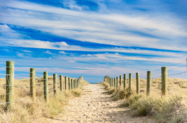 Fototapeta na wymiar A sandy path between grassy dunes leads to the sea at Port Melbourne in Victoria, Australia