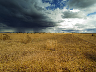 Straw rolls on agricultural field.