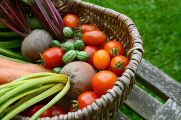 Beetroot, tomatoes, cucamelons and carrots in a wicker basket