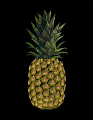 Embroidered yellow pineapple fruit. Fashion print embroidery texture stitch decoration patch. Tropic vector illustration on black background art