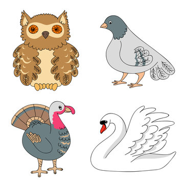 Vector drawing of a set of  different birds