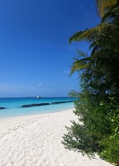 Fototapeta na wymiar weißer Sandstrand am türkisfarbenen Ozean auf den Malediven