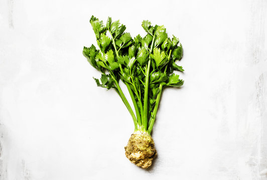 Root celery with green leaves, gray background, top view