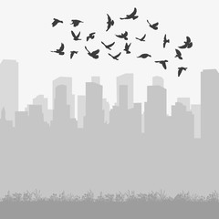  isolated silhouette of flying birds on city background