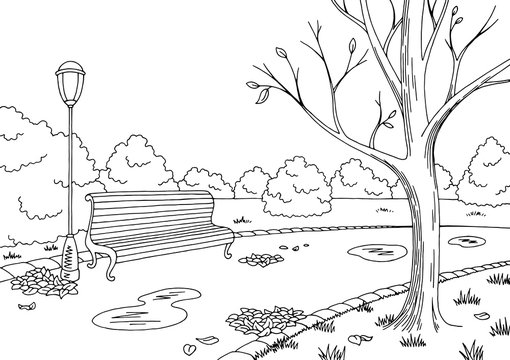 Autumn park graphic black white landscape sketch illustration vector