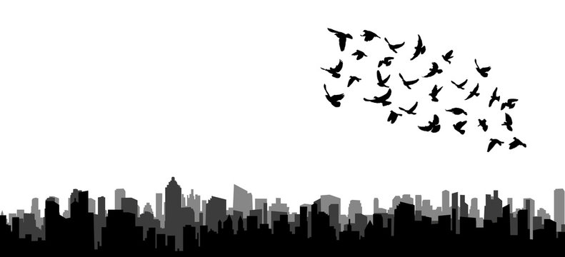 Vector, isolated silhouette of flying birds on black city background