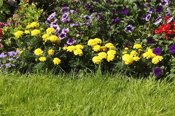 Blumenbeet an einer Rasenfläche