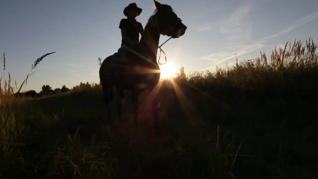 Horse rider walking at sunset in the meadow - silhouette shot, slow-motion