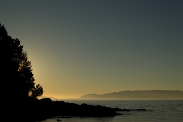 Fototapeta na wymiar Silhouette of a tree at sunset in the coast