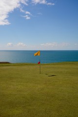 Golf Green Flag