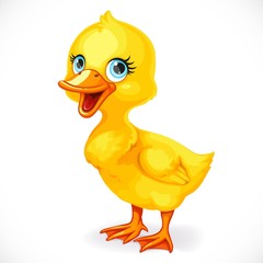 Cute little toeded yellow duckling isolated on white background