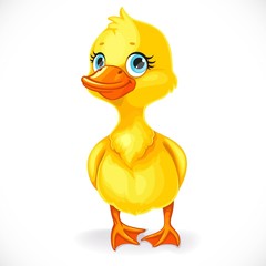 Cute yellow little toeded duckling isolated on white background