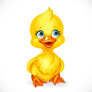 Cute little yellow duckling sit on floor isolated on white background
