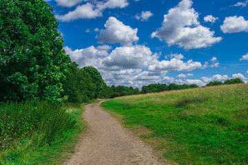 Fototapeta na wymiar beauiful park landscape with cloudy sky