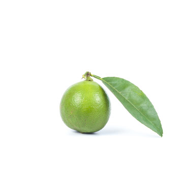 fresh lime on white background