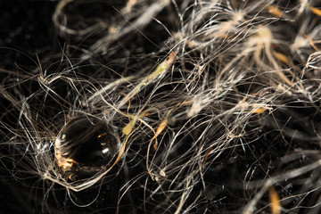 Abstract background with water drop