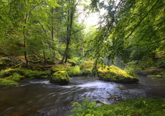 Fototapeta premium The Czech-Saxon Switzerland. Mystical River Kamenitsa. Hrensko.