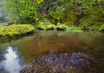 The Czech-Saxon Switzerland. Mystical River Kamenitsa. Hrensko.