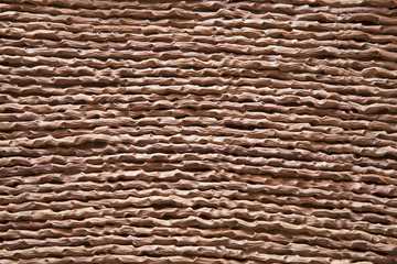 Texture of palm of sejé