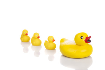 Toy rubber ducks, mother and children