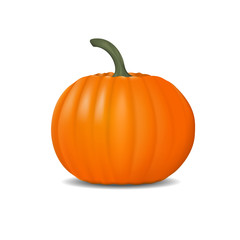 Pumpkin realistic illustration isolated on white. Fresh and orange vegetable