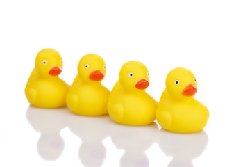 Group of yellow rubber duck toys