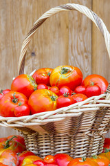 Fresh tomatoes in wicker basket