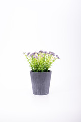 small artificial tree in a pot isolated in white background.