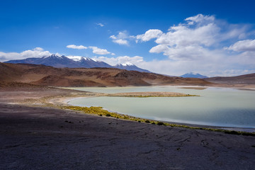 Fototapeta na wymiar Laguna Honda in sud Lipez Altiplano reserva, Bolivia