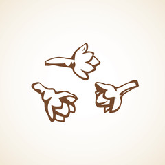 Clove seasoning. Vector drawing