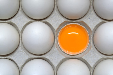 The Yolk. Picturing some eggs in line on an egg tray with one egg opened showing the yolk.