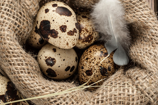 quail eggs in burlap sack