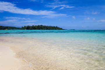 Tropical white sand beach and lagoon in Moorea Island