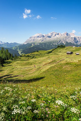 panorama of alto adige region in northern italy on summer