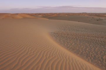 Fototapeta na wymiar Desert Mauritani