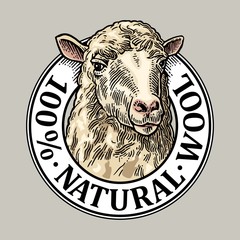 Sheep head. 100 Natural wooll lettering. Vintage vector engraving illustration